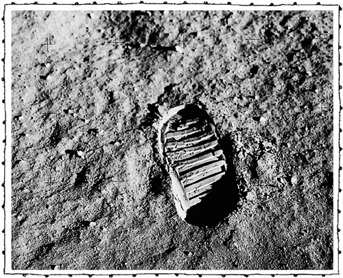 Иллюстрация к книге — Книга о самых невообразимых животных. Бестиарий XXI века [i_108.jpg]