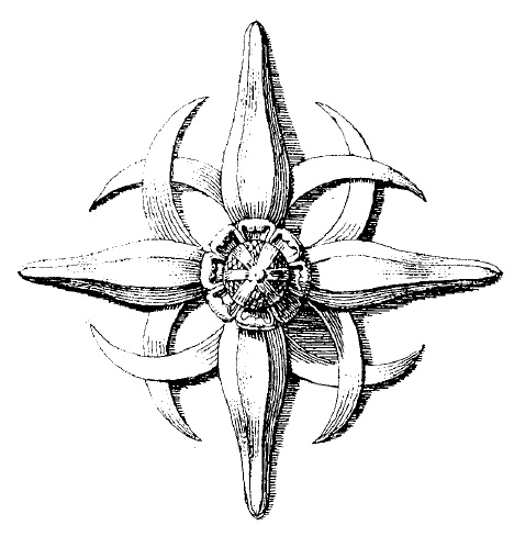 Иллюстрация к книге — Осень Средневековья [b00001829.jpg]