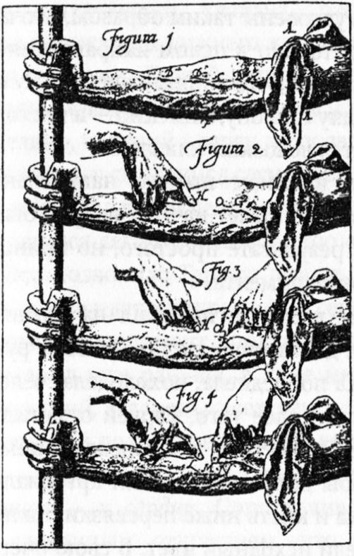 Иллюстрация к книге — Десять величайших открытий в истории медицины [i_005.jpg]