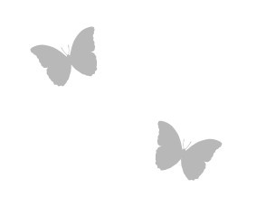 Иллюстрация к книге — Дамы Амстердама. Жизнь в витрине. Откровенные истории квартала «красных фонарей» [i_004.jpg]