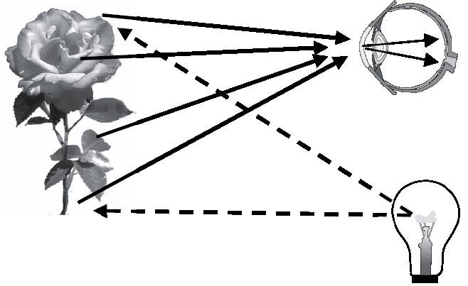 Иллюстрация к книге — Абсолютный минимум. Как квантовая теория объясняет наш мир [i_004.jpg]