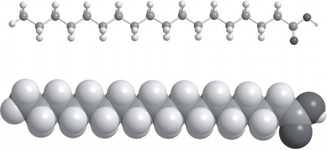 Иллюстрация к книге — Абсолютный минимум. Как квантовая теория объясняет наш мир [i_103.jpg]