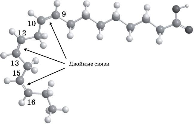 Иллюстрация к книге — Абсолютный минимум. Как квантовая теория объясняет наш мир [i_105.jpg]