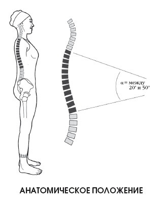 Иллюстрация к книге — Диагностика и лечение позвоночника. Уникальная система доктора А. М. Уриа [i_015.jpg]
