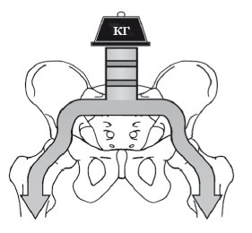 Иллюстрация к книге — Диагностика и лечение позвоночника. Уникальная система доктора А. М. Уриа [i_066.jpg]