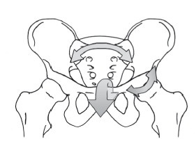 Иллюстрация к книге — Диагностика и лечение позвоночника. Уникальная система доктора А. М. Уриа [i_067.jpg]