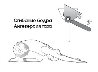 Иллюстрация к книге — Диагностика и лечение позвоночника. Уникальная система доктора А. М. Уриа [i_076.jpg]