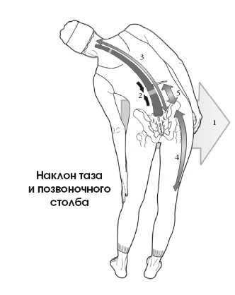 Иллюстрация к книге — Диагностика и лечение позвоночника. Уникальная система доктора А. М. Уриа [i_087.jpg]