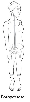 Иллюстрация к книге — Диагностика и лечение позвоночника. Уникальная система доктора А. М. Уриа [i_088.jpg]