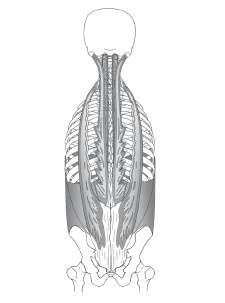Иллюстрация к книге — Диагностика и лечение позвоночника. Уникальная система доктора А. М. Уриа [i_091.jpg]