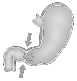 Иллюстрация к книге — Диагностика и лечение позвоночника. Уникальная система доктора А. М. Уриа [i_096.jpg]