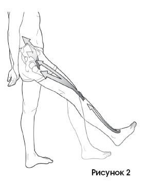 Иллюстрация к книге — Диагностика и лечение позвоночника. Уникальная система доктора А. М. Уриа [i_103.jpg]