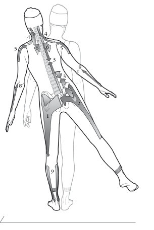 Иллюстрация к книге — Диагностика и лечение позвоночника. Уникальная система доктора А. М. Уриа [i_107.jpg]