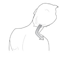 Иллюстрация к книге — Диагностика и лечение позвоночника. Уникальная система доктора А. М. Уриа [i_111.jpg]