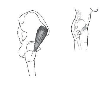 Иллюстрация к книге — Диагностика и лечение позвоночника. Уникальная система доктора А. М. Уриа [i_115.jpg]
