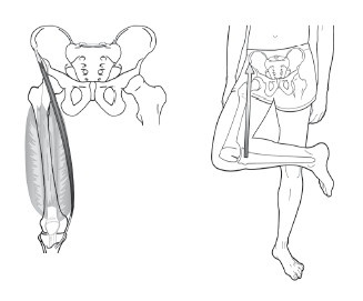 Иллюстрация к книге — Диагностика и лечение позвоночника. Уникальная система доктора А. М. Уриа [i_116.jpg]