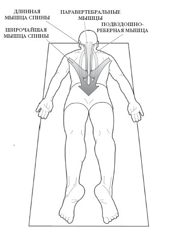 Иллюстрация к книге — Диагностика и лечение позвоночника. Уникальная система доктора А. М. Уриа [i_126.jpg]