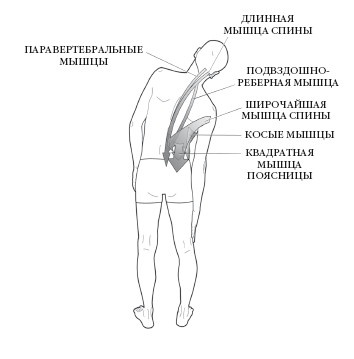Иллюстрация к книге — Диагностика и лечение позвоночника. Уникальная система доктора А. М. Уриа [i_127.jpg]