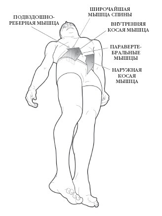 Иллюстрация к книге — Диагностика и лечение позвоночника. Уникальная система доктора А. М. Уриа [i_132.jpg]