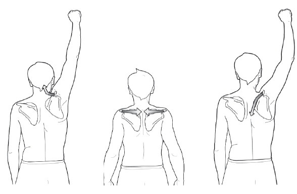 Иллюстрация к книге — Диагностика и лечение позвоночника. Уникальная система доктора А. М. Уриа [i_135.jpg]