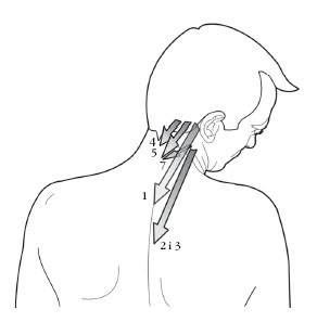 Иллюстрация к книге — Диагностика и лечение позвоночника. Уникальная система доктора А. М. Уриа [i_142.jpg]