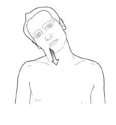 Иллюстрация к книге — Диагностика и лечение позвоночника. Уникальная система доктора А. М. Уриа [i_162.jpg]