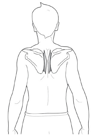 Иллюстрация к книге — Диагностика и лечение позвоночника. Уникальная система доктора А. М. Уриа [i_164.jpg]