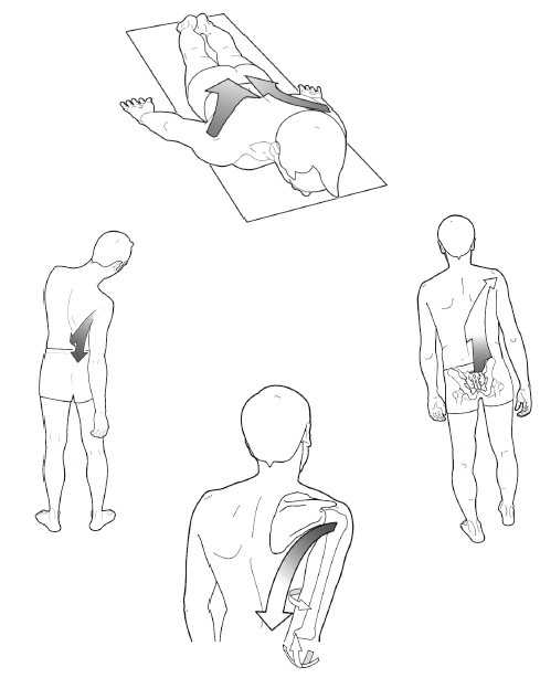 Иллюстрация к книге — Диагностика и лечение позвоночника. Уникальная система доктора А. М. Уриа [i_167.jpg]