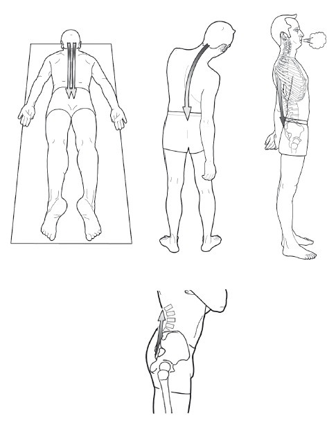 Иллюстрация к книге — Диагностика и лечение позвоночника. Уникальная система доктора А. М. Уриа [i_169.jpg]