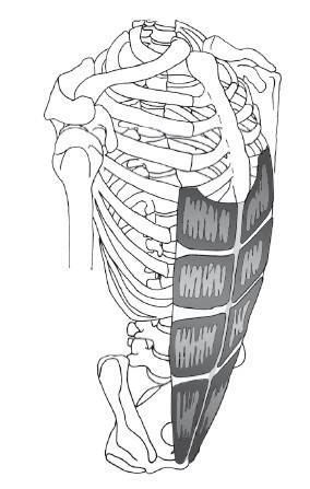 Иллюстрация к книге — Диагностика и лечение позвоночника. Уникальная система доктора А. М. Уриа [i_174.jpg]