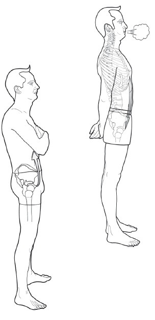 Иллюстрация к книге — Диагностика и лечение позвоночника. Уникальная система доктора А. М. Уриа [i_176.jpg]