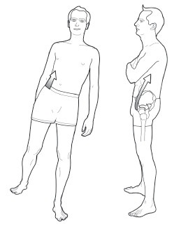 Иллюстрация к книге — Диагностика и лечение позвоночника. Уникальная система доктора А. М. Уриа [i_178.jpg]