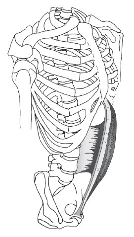 Иллюстрация к книге — Диагностика и лечение позвоночника. Уникальная система доктора А. М. Уриа [i_183.jpg]