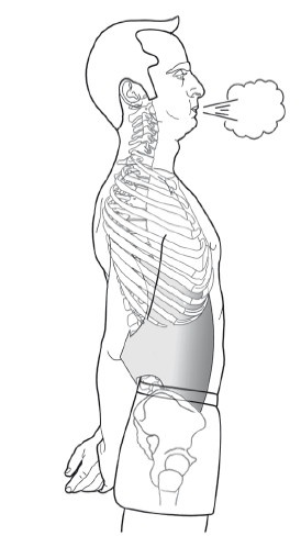 Иллюстрация к книге — Диагностика и лечение позвоночника. Уникальная система доктора А. М. Уриа [i_185.jpg]