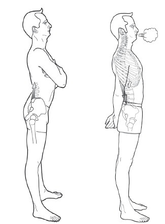 Иллюстрация к книге — Диагностика и лечение позвоночника. Уникальная система доктора А. М. Уриа [i_191.jpg]