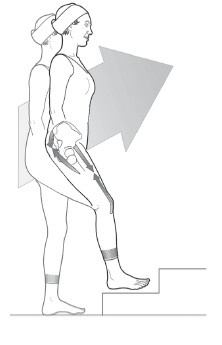 Иллюстрация к книге — Диагностика и лечение позвоночника. Уникальная система доктора А. М. Уриа [i_200.jpg]