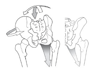 Иллюстрация к книге — Диагностика и лечение позвоночника. Уникальная система доктора А. М. Уриа [i_213.jpg]