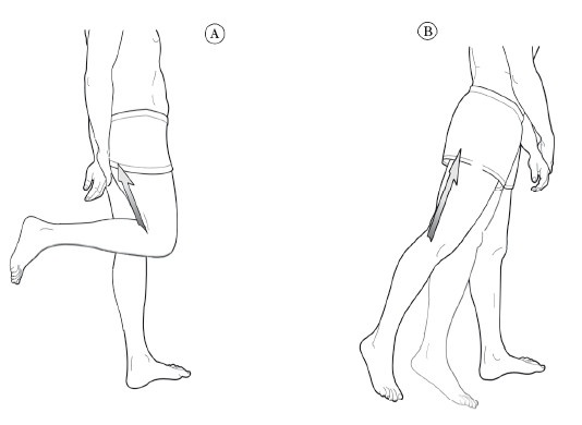 Иллюстрация к книге — Диагностика и лечение позвоночника. Уникальная система доктора А. М. Уриа [i_219.jpg]