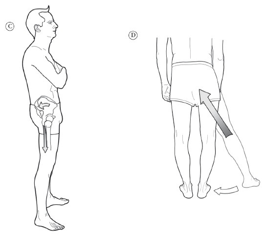 Иллюстрация к книге — Диагностика и лечение позвоночника. Уникальная система доктора А. М. Уриа [i_220.jpg]