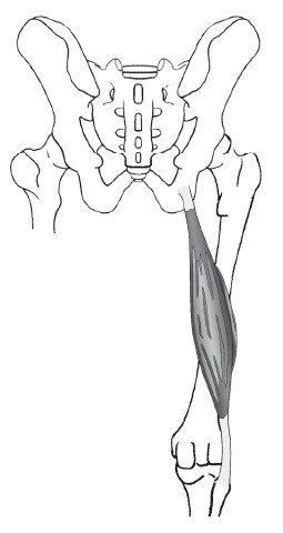 Иллюстрация к книге — Диагностика и лечение позвоночника. Уникальная система доктора А. М. Уриа [i_221.jpg]