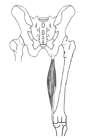 Иллюстрация к книге — Диагностика и лечение позвоночника. Уникальная система доктора А. М. Уриа [i_224.jpg]
