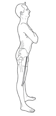 Иллюстрация к книге — Диагностика и лечение позвоночника. Уникальная система доктора А. М. Уриа [i_232.jpg]