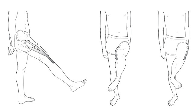 Иллюстрация к книге — Диагностика и лечение позвоночника. Уникальная система доктора А. М. Уриа [i_233.jpg]