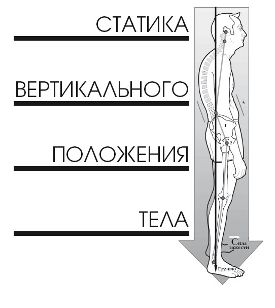 Иллюстрация к книге — Диагностика и лечение позвоночника. Уникальная система доктора А. М. Уриа [i_290.jpg]