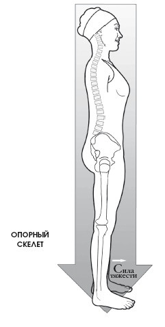 Иллюстрация к книге — Диагностика и лечение позвоночника. Уникальная система доктора А. М. Уриа [i_291.jpg]