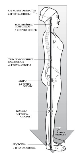 Иллюстрация к книге — Диагностика и лечение позвоночника. Уникальная система доктора А. М. Уриа [i_292.jpg]