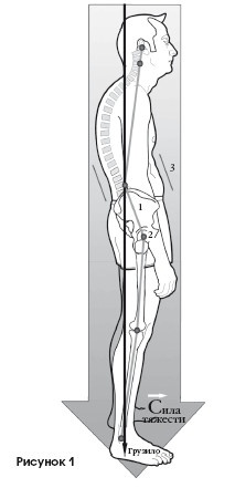 Иллюстрация к книге — Диагностика и лечение позвоночника. Уникальная система доктора А. М. Уриа [i_293.jpg]