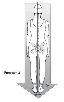 Иллюстрация к книге — Диагностика и лечение позвоночника. Уникальная система доктора А. М. Уриа [i_294.jpg]