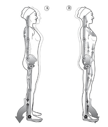 Иллюстрация к книге — Диагностика и лечение позвоночника. Уникальная система доктора А. М. Уриа [i_298.jpg]