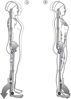 Иллюстрация к книге — Диагностика и лечение позвоночника. Уникальная система доктора А. М. Уриа [i_299.jpg]